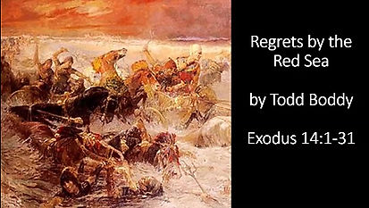 Regrets by the Red Sea